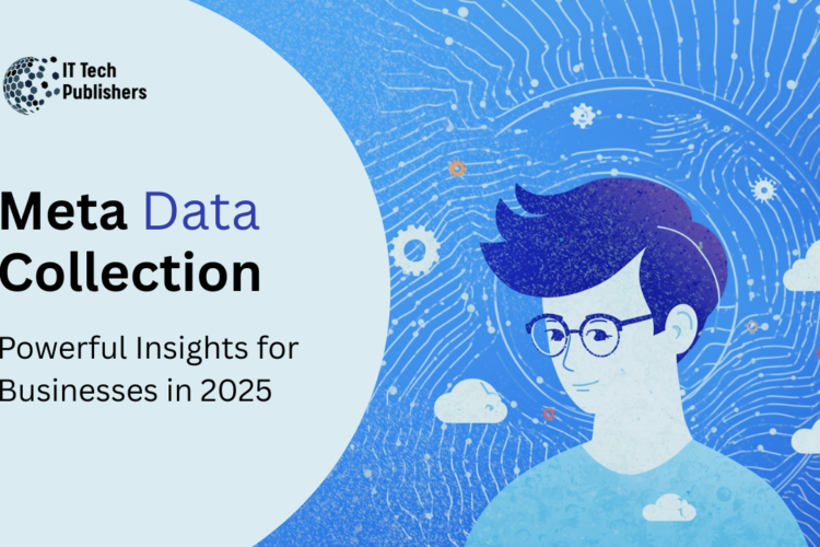 Meta Data Collection Insights for Businesses